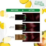 Olia, 4.0 Dark Brown, No Ammonia Permanent Haircolor, with 60% Oils