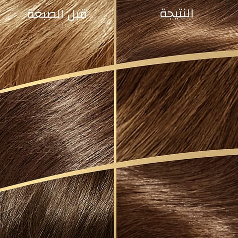 ARGAN  HAIR COLORING OIL KIT / BLACK 1.0