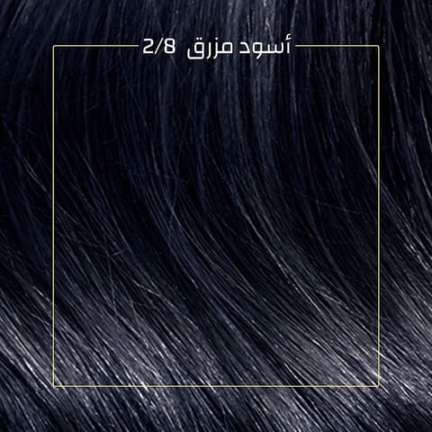 صبغة الشعر بخلاصة زيت الأرغان الطبيعي  / لون 1.0 اسود
