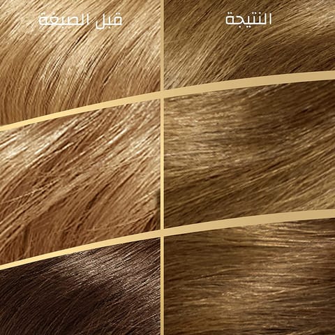 ARGAN  HAIR COLORING OIL KIT / BLACK 1.0