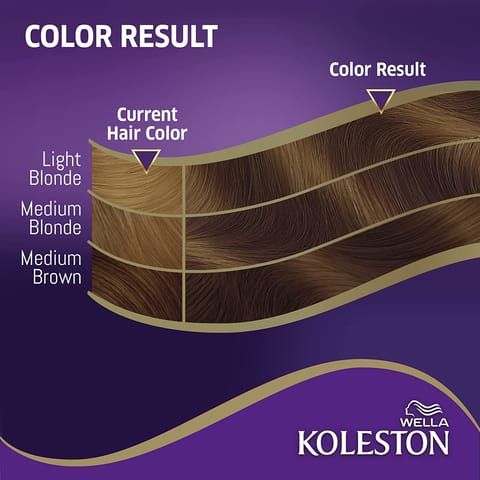 ARGAN  HAIR COLORING OIL KIT / BLACK 1.0