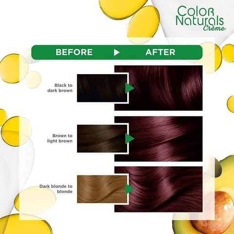 ARGAN  HAIR COLORING OIL KIT / BLACK 1.0