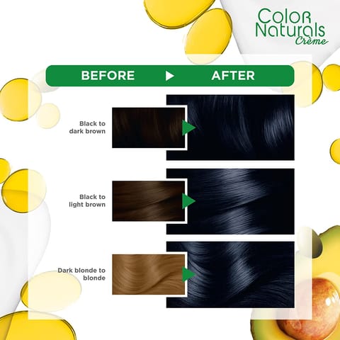 ARGAN  HAIR COLORING OIL KIT / BLACK 1.0