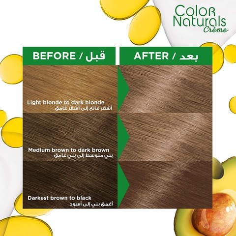 ARGAN  HAIR COLORING OIL KIT / Light Ash Blond -8.1