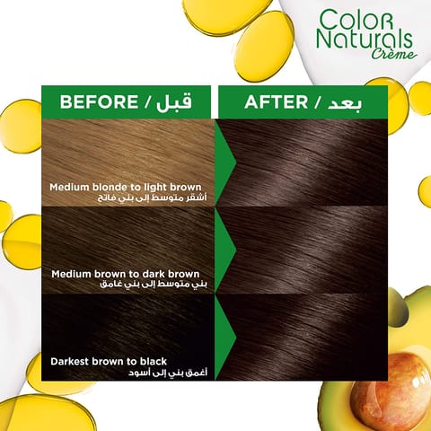 ARGAN  HAIR COLORING OIL KIT / BLACK 1.0