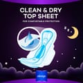 Dreamzz Pad Clean & Dry Maxi Thick, Night Long Sanitary Pads with Wings, 48 Count