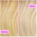 Bleach Blondes Purble Regin Toning Shampoo