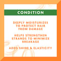 CANTU Argan Oil Leave-In Conditioning Repair Cream-435g