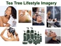 Tea Tree Oil Shampoo - 340 ml
