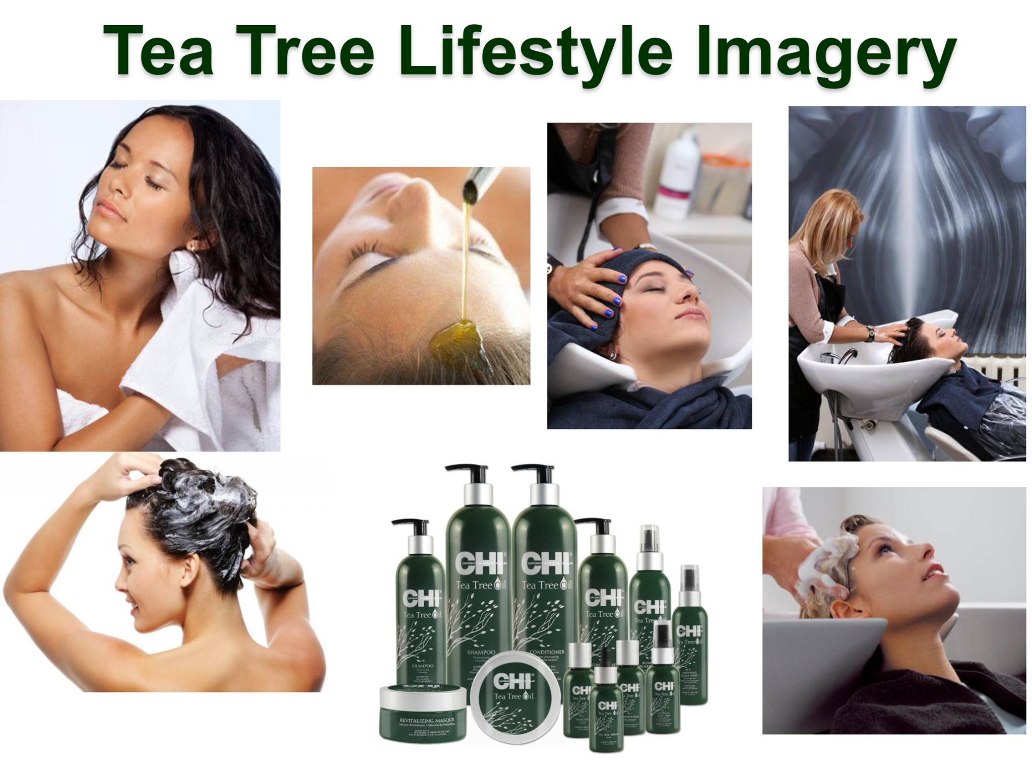 Tea Tree Oil Shampoo - 340 ml
