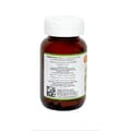 American International Lab Ginko Biloba 40 mg 60 Capsules