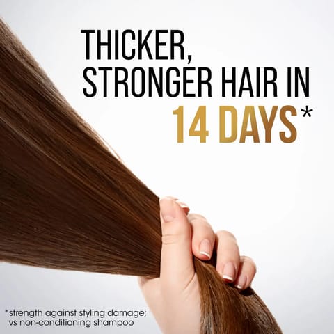 MACADEMIA Rejuvenating Shampoo