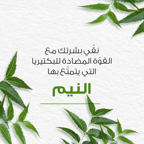 سيتافيل غسول الوجه للبشرة الدهنية