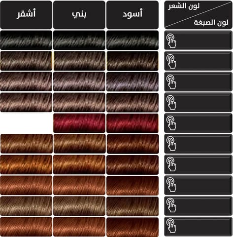 ARGAN  HAIR COLORING OIL KIT / BLACK 1.0