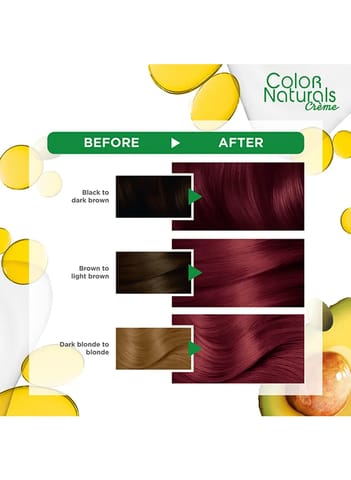 ARGAN  HAIR COLORING OIL KIT / BLACK 1.0