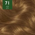 Wella Soft Color Kit 71 Ash Blonde