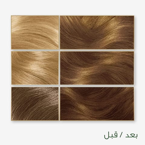 ARGAN  HAIR COLORING OIL KIT / BLACK 1.0