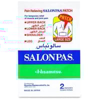 Salonpas Pain Relieving Patch Large