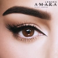 Amara Daily contact lenses -Toffee