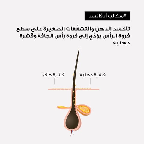 MACADEMIA Rejuvenating Shampoo