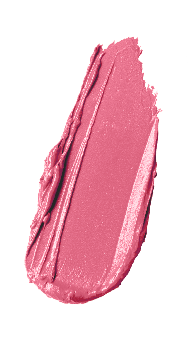 WET N WILD Rich Satin Lip Color-3gr