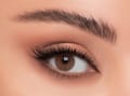 ليندا عدسات لاصقة ملونة - زولتانيت
