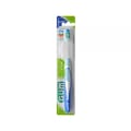 Gum Medium Blisterpack W. Tra