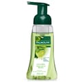 Palmolive Foam Hand Wash Lime Mint 250Ml