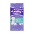 AlwaysPntlnr Nrml 18*20