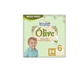 Babyjoy Olive Culotte Mega Junior (3X40)