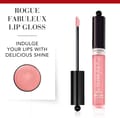 Bourjois Fabuleux Lip Gloss# 11