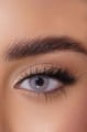 Afle Daily Color Contact Lens - 22 Snow