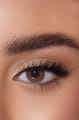 Afle Daily Color Contact Lens - 24 Agate
