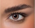 ANESTHESIA Daily Contact Lenses