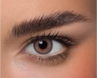 ANESTHESIA Daily Contact Lenses