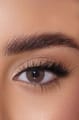 Afle Daily Color Contact Lens - 19 Woody