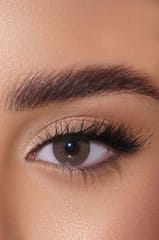 Afle Daily Color Contact Lens - 19 Woody