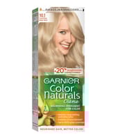 Garnier Col Nat 10.1 Frosty Beig
