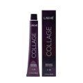 Lakme  Collage 99/00