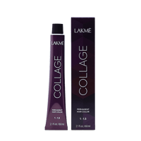 Lakme  Collage 99/00