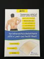 BTN far infrared pain relief patch