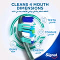Signal Tb Whitening Cryptin