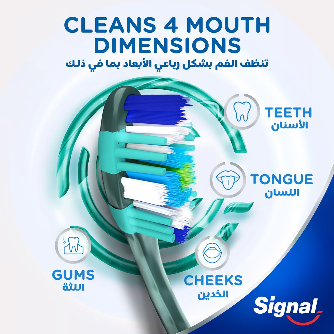 Signal Tb Whitening Cryptin