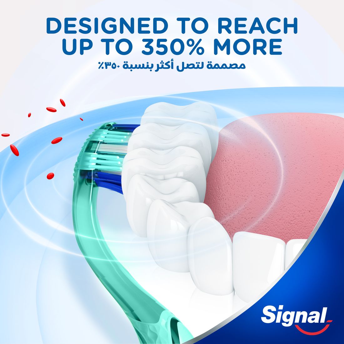 Signal Tb Whitening Cryptin