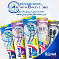 Signal Tb Whitening Cryptin