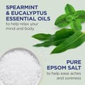 Dr Teal’S Salt Eucalyptus 1360G