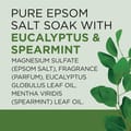 Dr Teal’S Salt Eucalyptus 1360G
