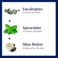 Dr Teal’S Deo Eucalyptus Almnum Free 75G