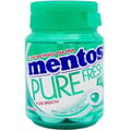 Mentos Pure Fresh Bottle Wintergreen 56 gm