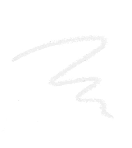 WET N WILD H2O Proof Liquid Eyeliner